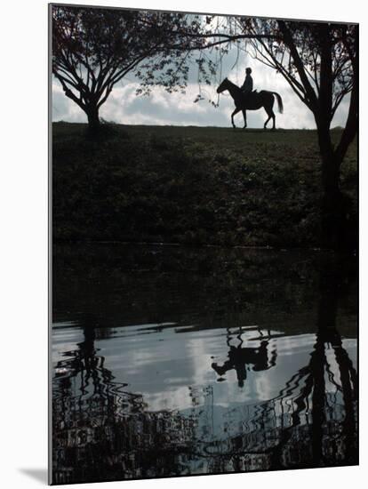 Horse Ride-null-Mounted Photographic Print