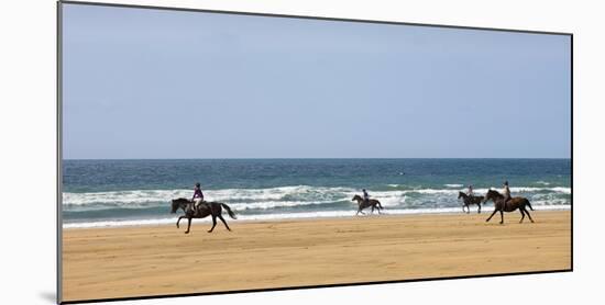 Horse rider's galloping down sandy Cornish beach on a summer's day, Sandymouth, Cornwall, England. -Adam Burton-Mounted Photographic Print