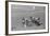 Horse Riding Competition-null-Framed Photographic Print
