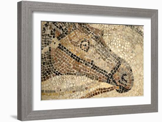 Horse Roman Floor Mosaic-null-Framed Giclee Print