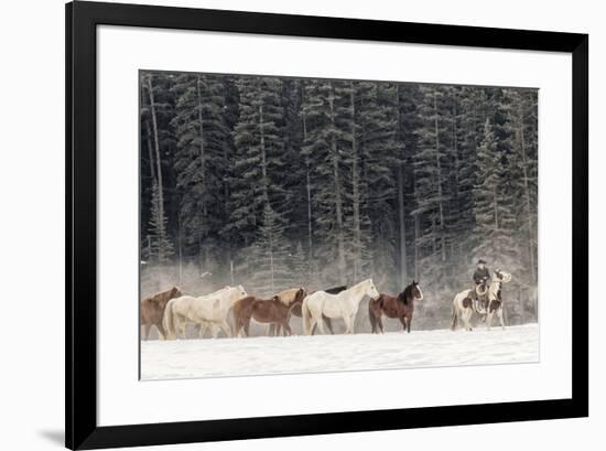 Horse roundup in winter, Kalispell, Montana.-Adam Jones-Framed Premium Photographic Print