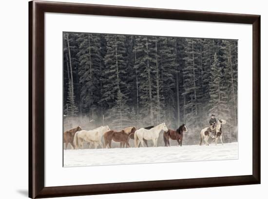 Horse roundup in winter, Kalispell, Montana.-Adam Jones-Framed Premium Photographic Print