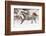 Horse roundup in winter, Kalispell, Montana.-Adam Jones-Framed Photographic Print