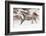 Horse roundup in winter, Kalispell, Montana.-Adam Jones-Framed Photographic Print