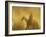 Horse Roundup, Ponderosa Ranch, Seneca, Oregon, USA-William Sutton-Framed Photographic Print