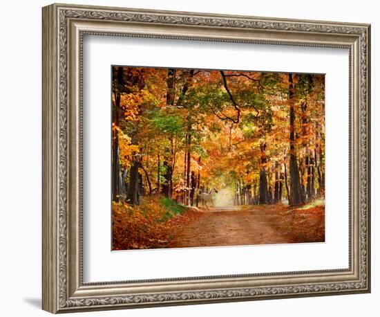Horse Running across Road in Fall Colors--Framed Photographic Print