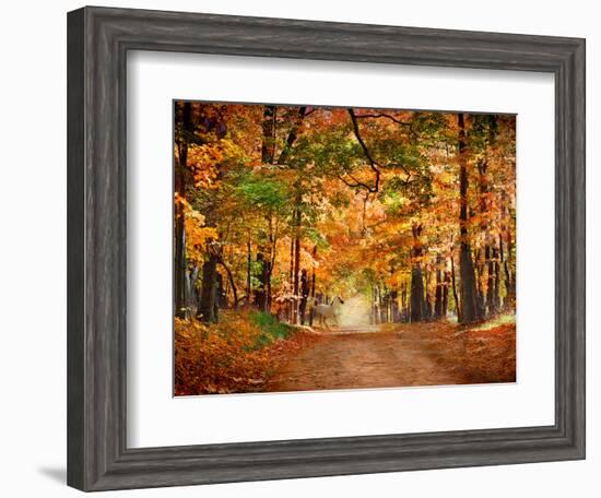 Horse Running across Road in Fall Colors-null-Framed Photographic Print