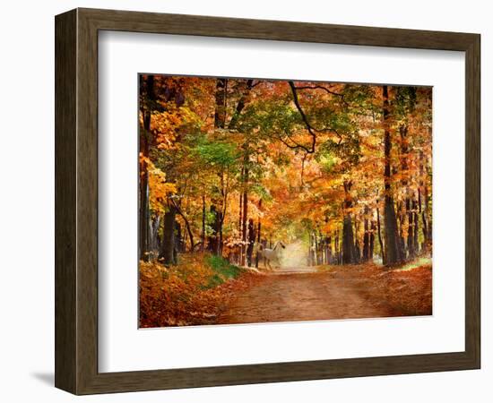 Horse Running across Road in Fall Colors-null-Framed Photographic Print