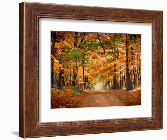 Horse Running across Road in Fall Colors-null-Framed Photographic Print