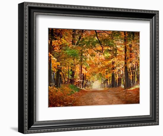 Horse Running across Road in Fall Colors-null-Framed Photographic Print