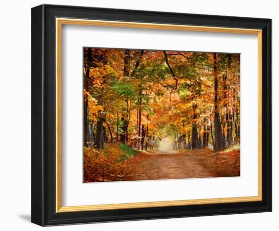 Horse Running across Road in Fall Colors-null-Framed Photographic Print