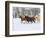 Horse Running, Shell, Wyoming, USA-Terry Eggers-Framed Photographic Print