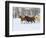 Horse Running, Shell, Wyoming, USA-Terry Eggers-Framed Photographic Print