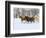 Horse Running, Shell, Wyoming, USA-Terry Eggers-Framed Photographic Print
