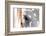 Horse’s Eye-Tom Artin-Framed Giclee Print