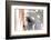 Horse’s Eye-Tom Artin-Framed Giclee Print