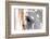 Horse’s Eye-Tom Artin-Framed Art Print