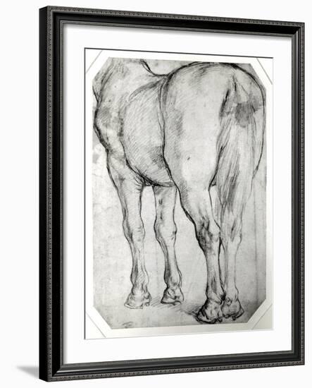 Horse's Rear-Peter Paul Rubens-Framed Giclee Print