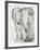 Horse's Rear-Peter Paul Rubens-Framed Giclee Print