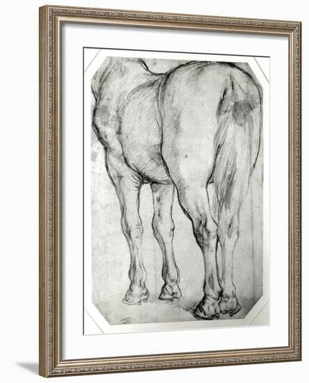 Horse's Rear-Peter Paul Rubens-Framed Giclee Print