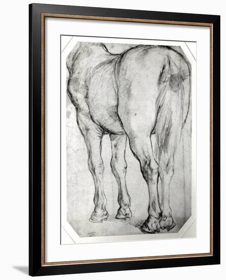 Horse's Rear-Peter Paul Rubens-Framed Giclee Print