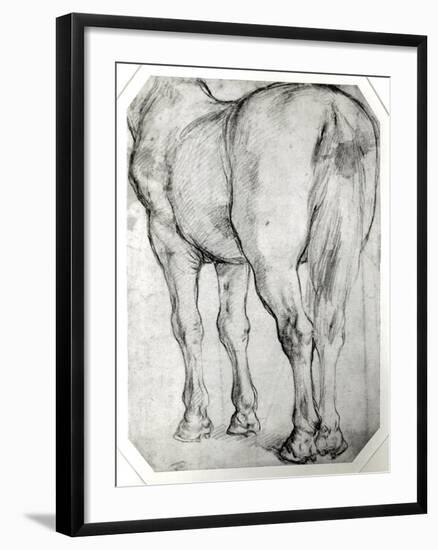 Horse's Rear-Peter Paul Rubens-Framed Giclee Print