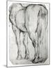 Horse's Rear-Peter Paul Rubens-Mounted Giclee Print