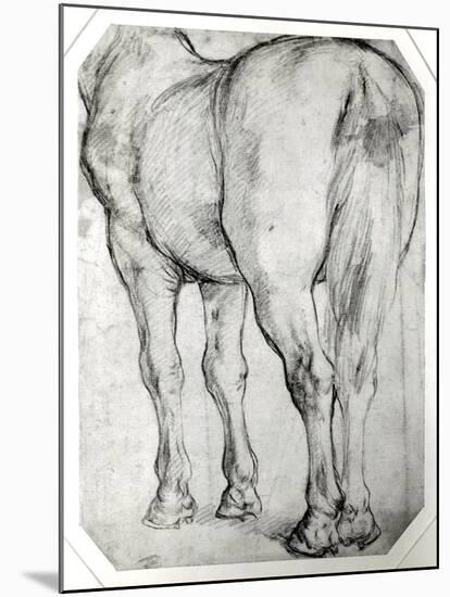 Horse's Rear-Peter Paul Rubens-Mounted Giclee Print