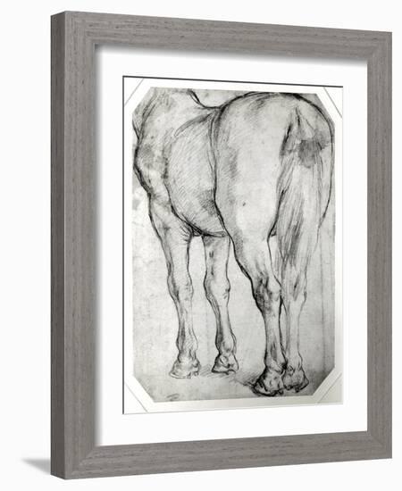 Horse's Rear-Peter Paul Rubens-Framed Giclee Print