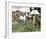 Horse Sale-Sir Alfred Munnings-Framed Premium Giclee Print