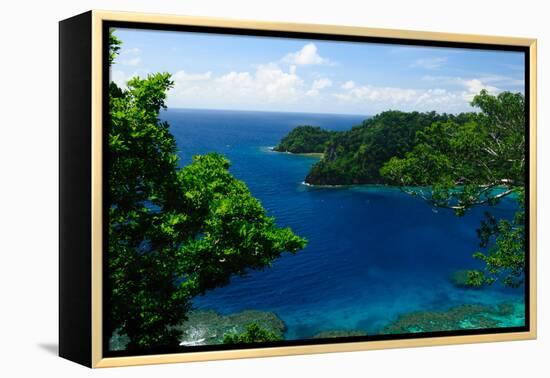 Horse Shoe Bay, Fiji, South Pacific, Pacific-Bhaskar Krishnamurthy-Framed Premier Image Canvas