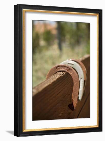 Horse Shoes-Karyn Millet-Framed Photographic Print