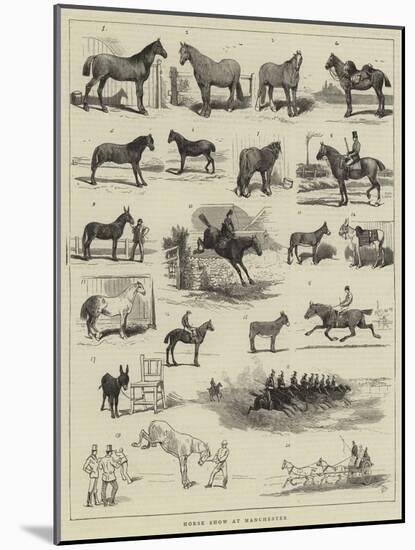 Horse Show at Manchester-Alfred Chantrey Corbould-Mounted Giclee Print