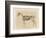 Horse Skeleton-null-Framed Premium Giclee Print