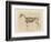 Horse Skeleton-null-Framed Premium Giclee Print