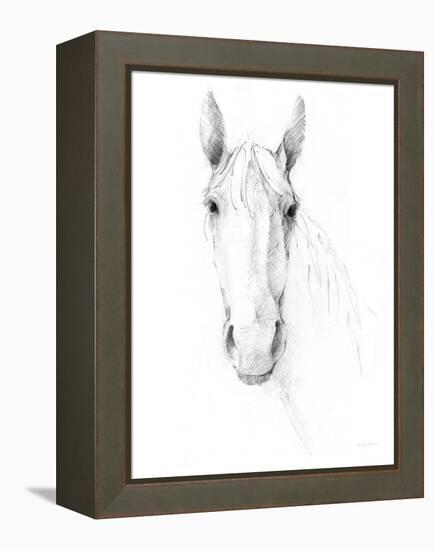 Horse Sketch-Avery Tillmon-Framed Stretched Canvas