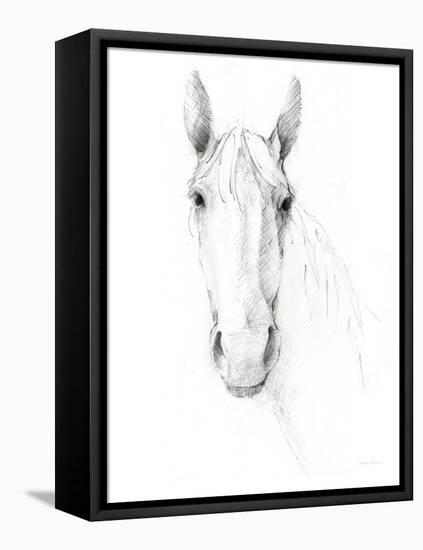 Horse Sketch-Avery Tillmon-Framed Stretched Canvas