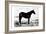 Horse Stance-Milli Villa-Framed Art Print