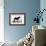 Horse Stance-Milli Villa-Framed Art Print displayed on a wall