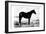 Horse Stance-Milli Villa-Framed Art Print