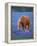 Horse Standing Among Bluebonnets-Darrell Gulin-Framed Premier Image Canvas