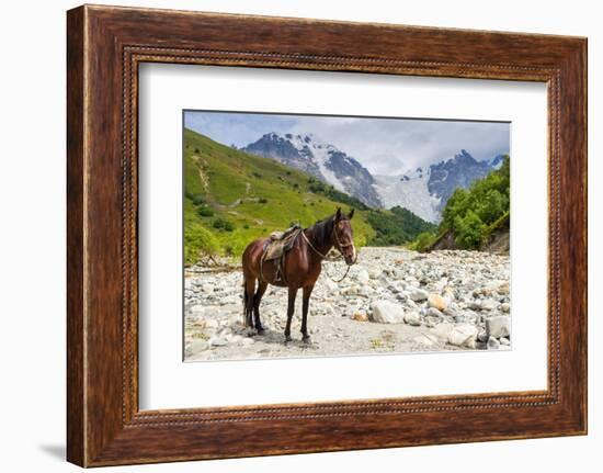 Horse standing by Adishchala River with Tetnuldi mountain peak in the background, Svaneti mountains-Jan Miracky-Framed Photographic Print