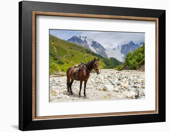 Horse standing by Adishchala River with Tetnuldi mountain peak in the background, Svaneti mountains-Jan Miracky-Framed Photographic Print