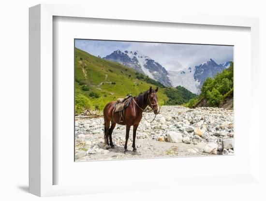 Horse standing by Adishchala River with Tetnuldi mountain peak in the background, Svaneti mountains-Jan Miracky-Framed Photographic Print