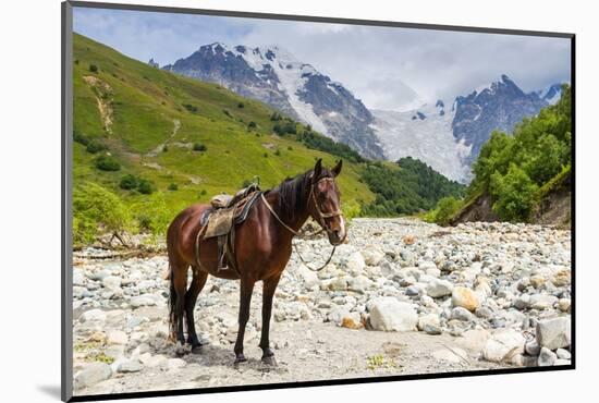 Horse standing by Adishchala River with Tetnuldi mountain peak in the background, Svaneti mountains-Jan Miracky-Mounted Photographic Print