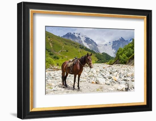 Horse standing by Adishchala River with Tetnuldi mountain peak in the background, Svaneti mountains-Jan Miracky-Framed Photographic Print