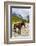 Horse standing by Adishchala River with Tetnuldi mountain peak in the background-Jan Miracky-Framed Photographic Print