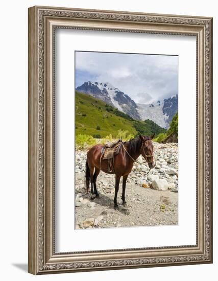 Horse standing by Adishchala River with Tetnuldi mountain peak in the background-Jan Miracky-Framed Photographic Print