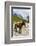 Horse standing by Adishchala River with Tetnuldi mountain peak in the background-Jan Miracky-Framed Photographic Print