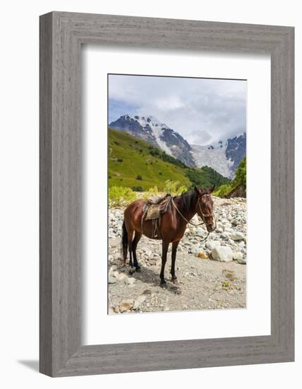 Horse standing by Adishchala River with Tetnuldi mountain peak in the background-Jan Miracky-Framed Photographic Print